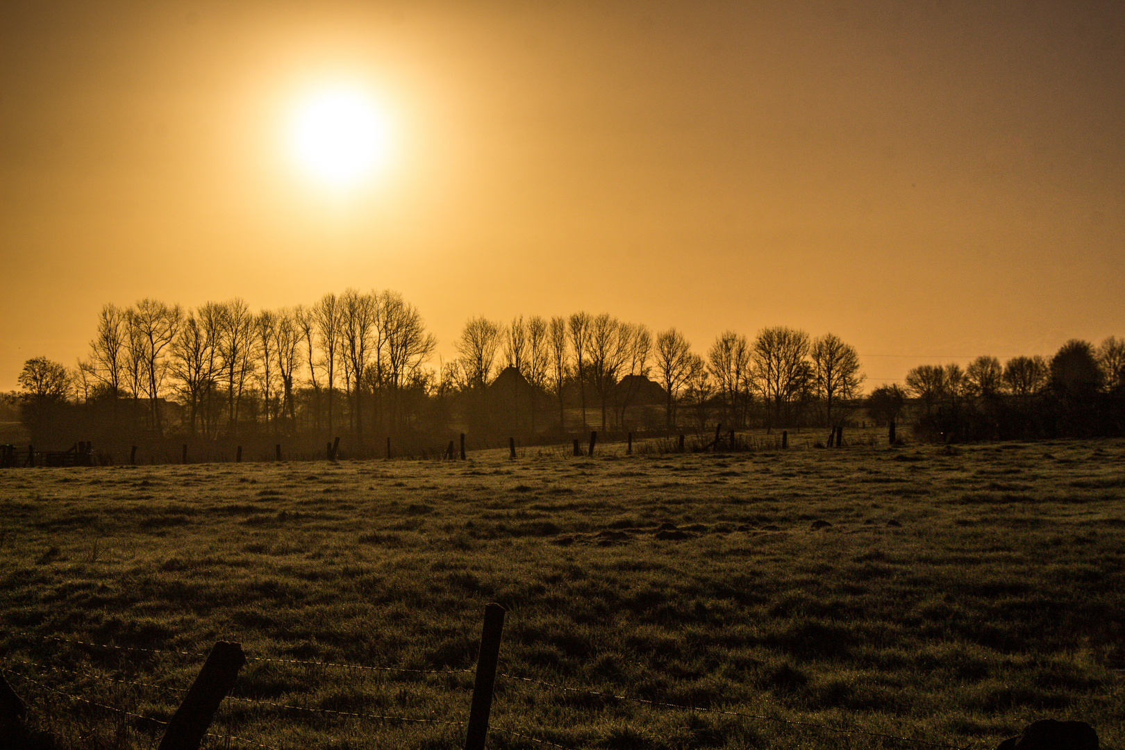 Winter Morning