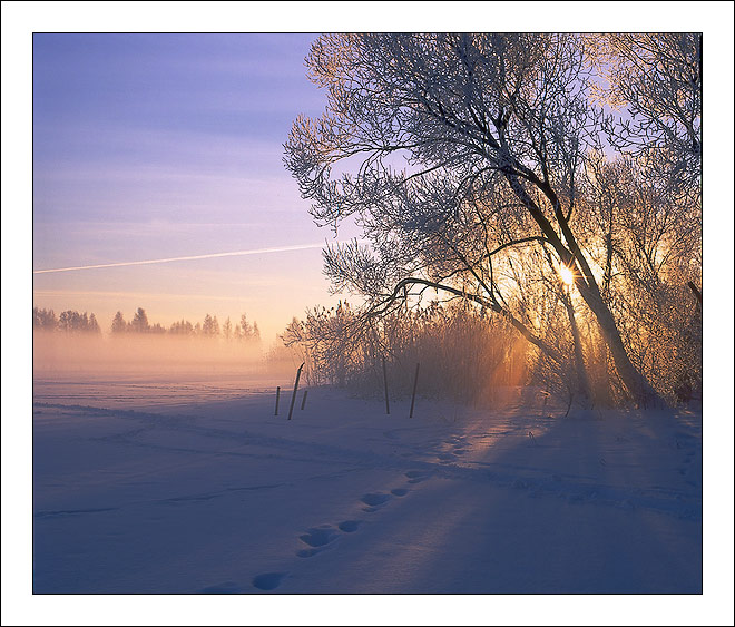 Winter morning #2