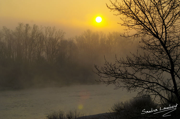 Winter morning