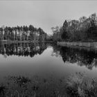 Winter Morning at Stokes Forrest