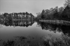 Winter Morning at Stokes Forrest