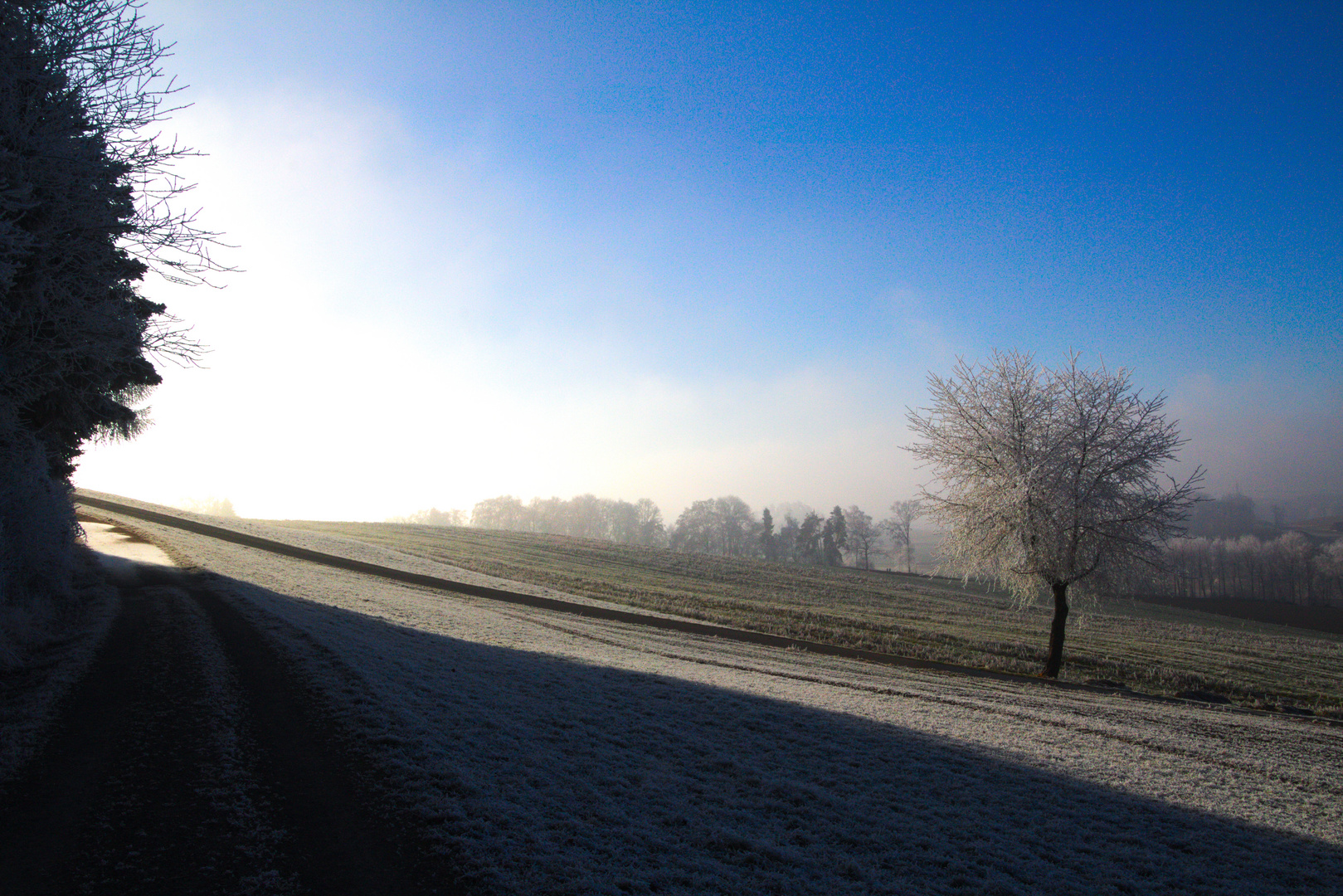 Winter Morning