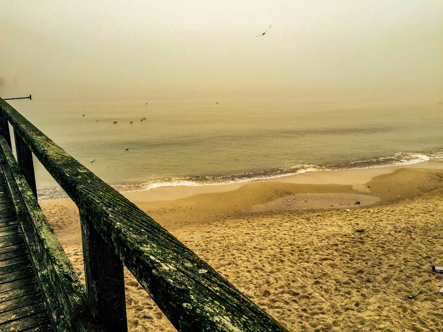 Winter Morning Baltic Sea