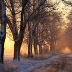 Winter morning...