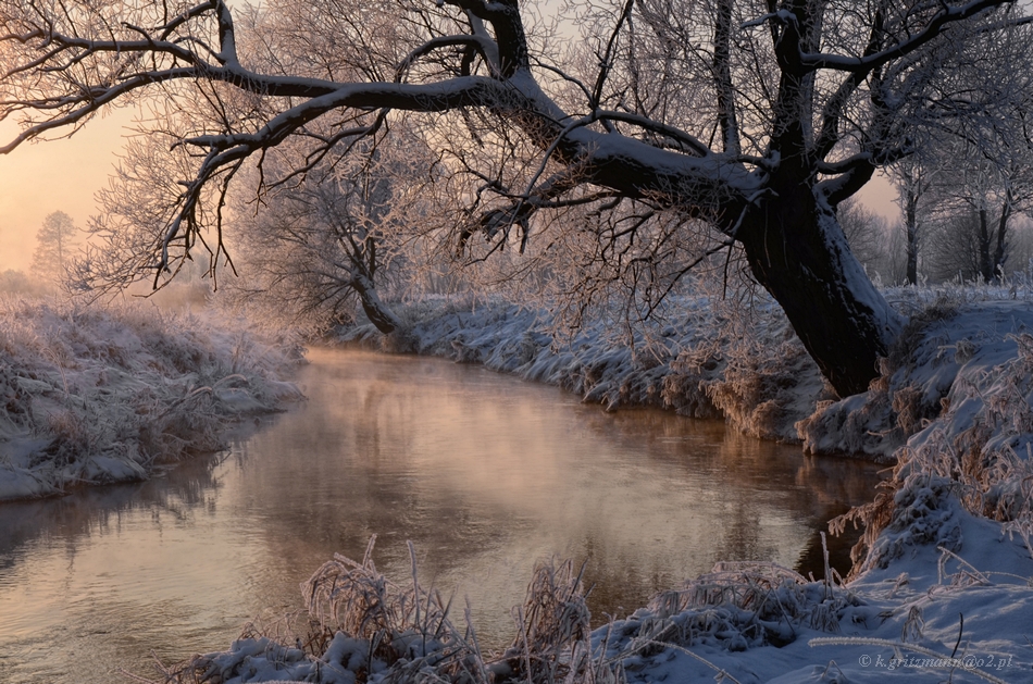 winter morning