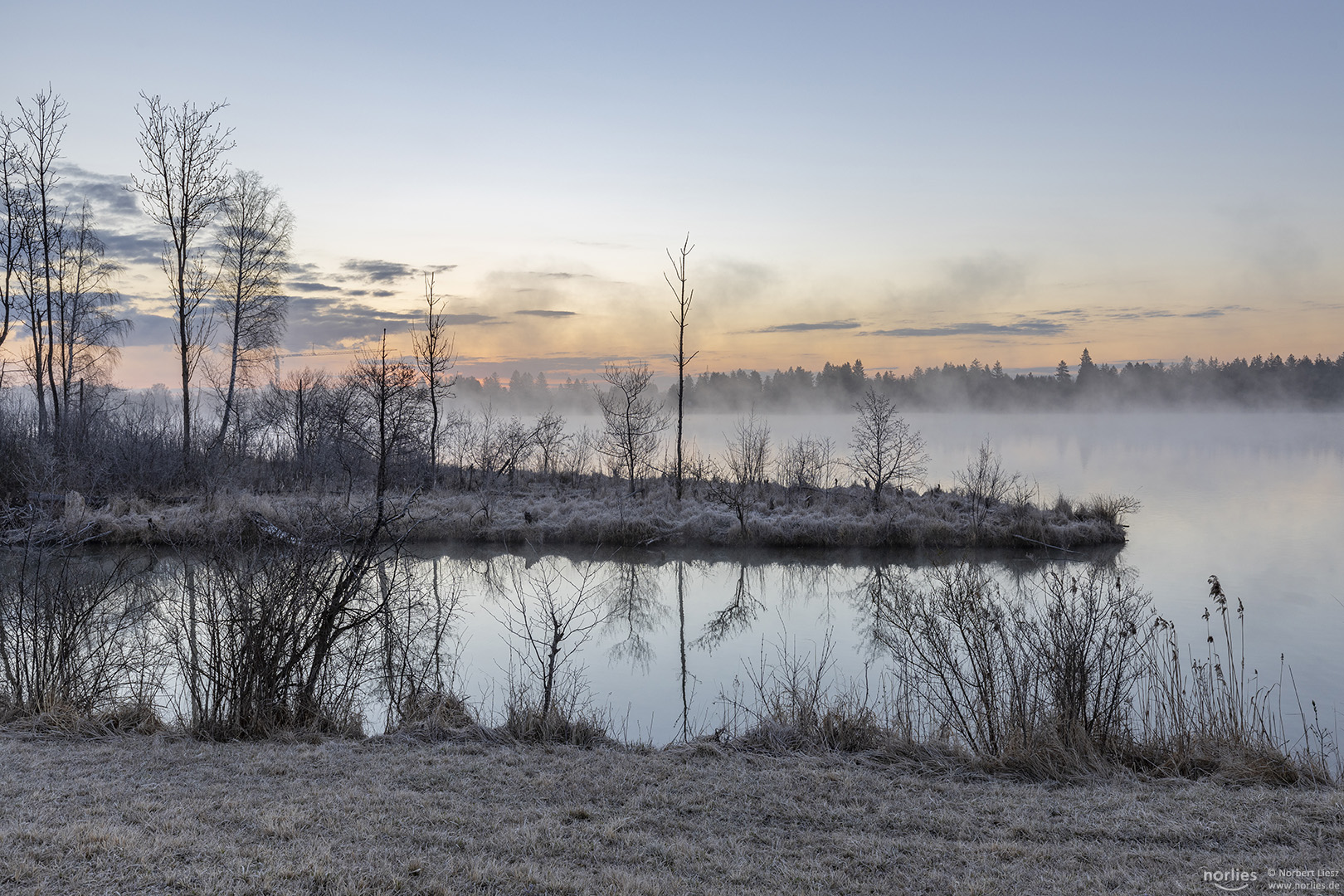 winter morning