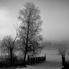 Winter Morning Fog by Tony