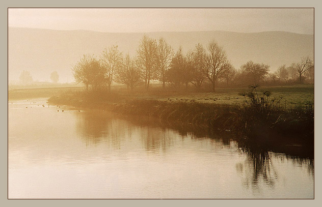 Winter morning in the South.