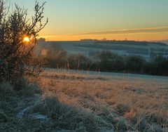 winter morning light (1)