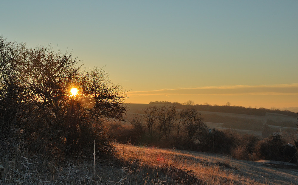 winter morning light (2)