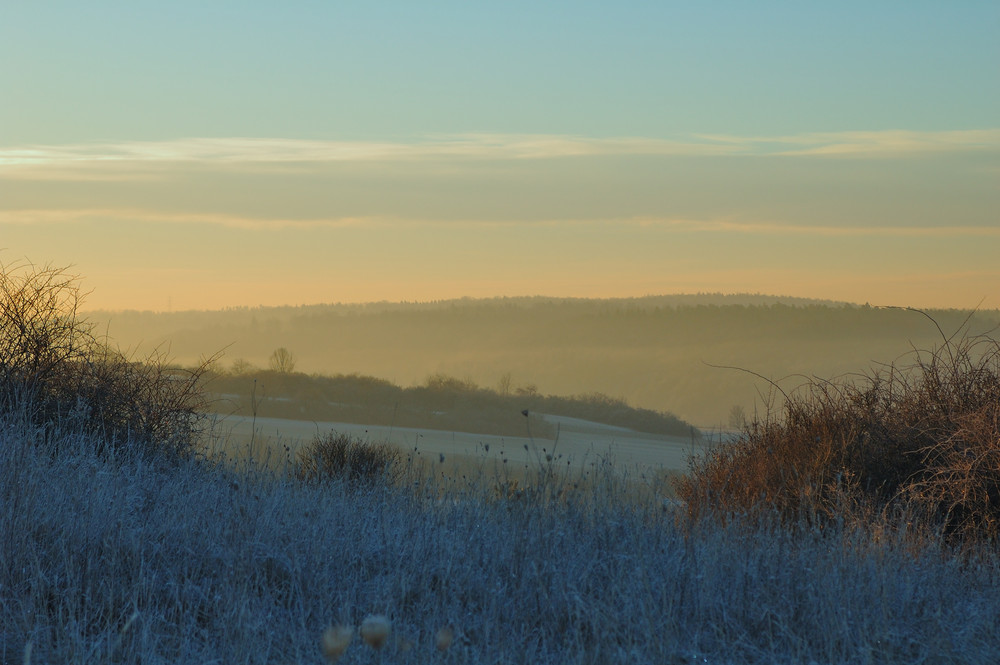 winter morning light (3)