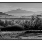 Winter Morning Shasta Valley