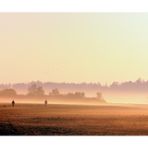 winter morning walk