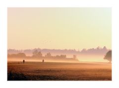 winter morning walk