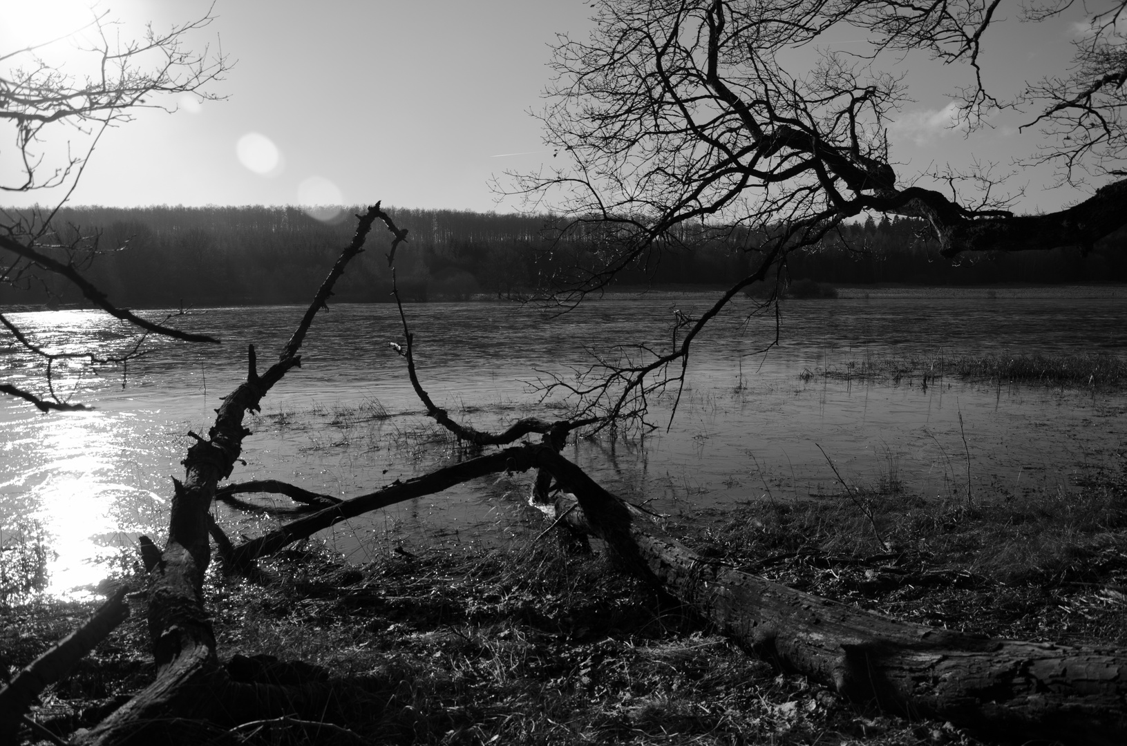 Winter mornung on a lake