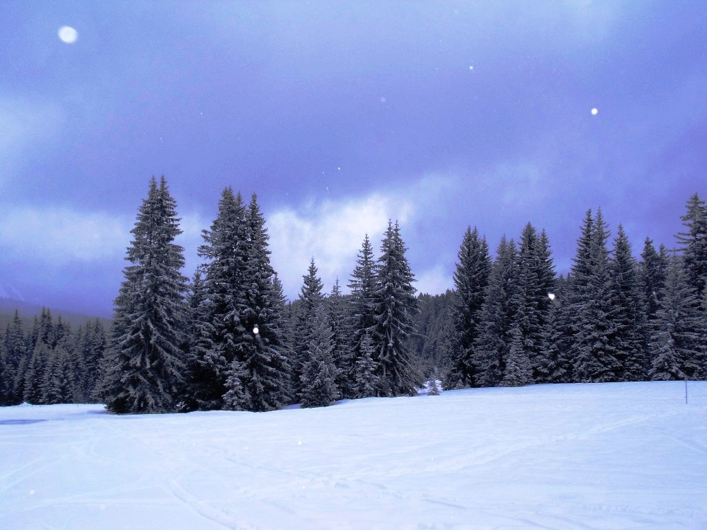 Winter Mountain Snow Fall