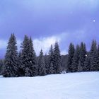 Winter Mountain Snow Fall