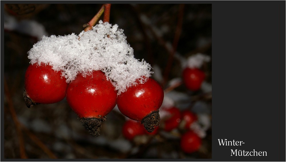 Winter-Mützchen