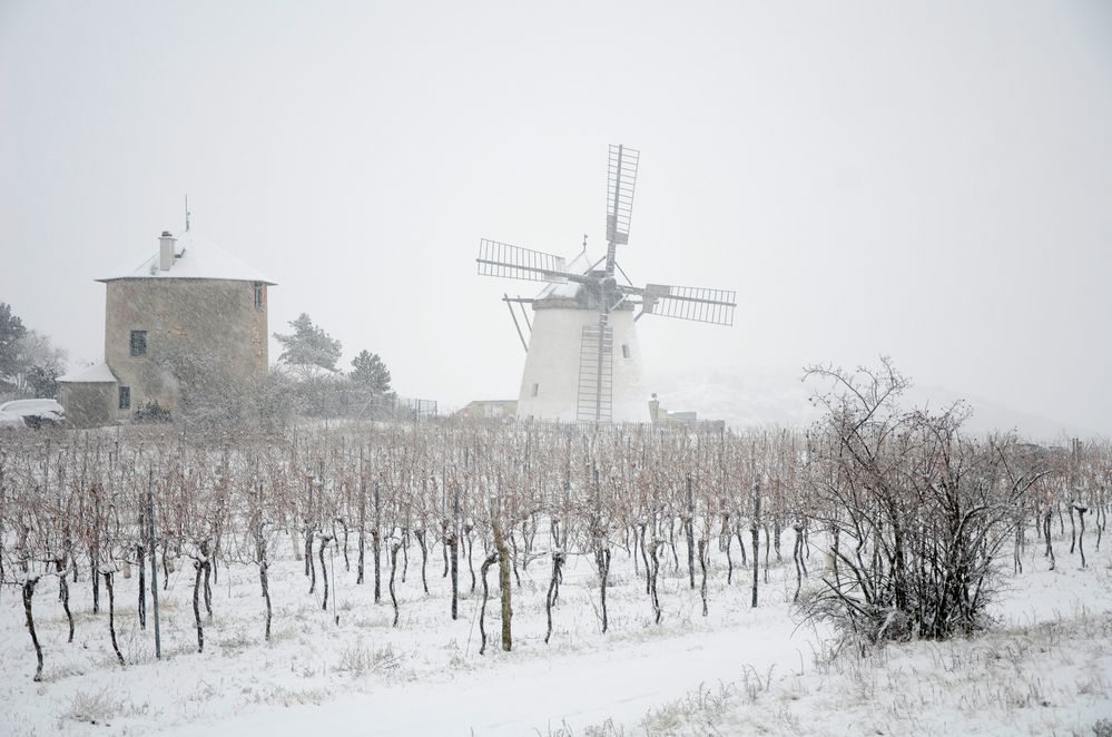 Winter na und! von Reisinger Franz 