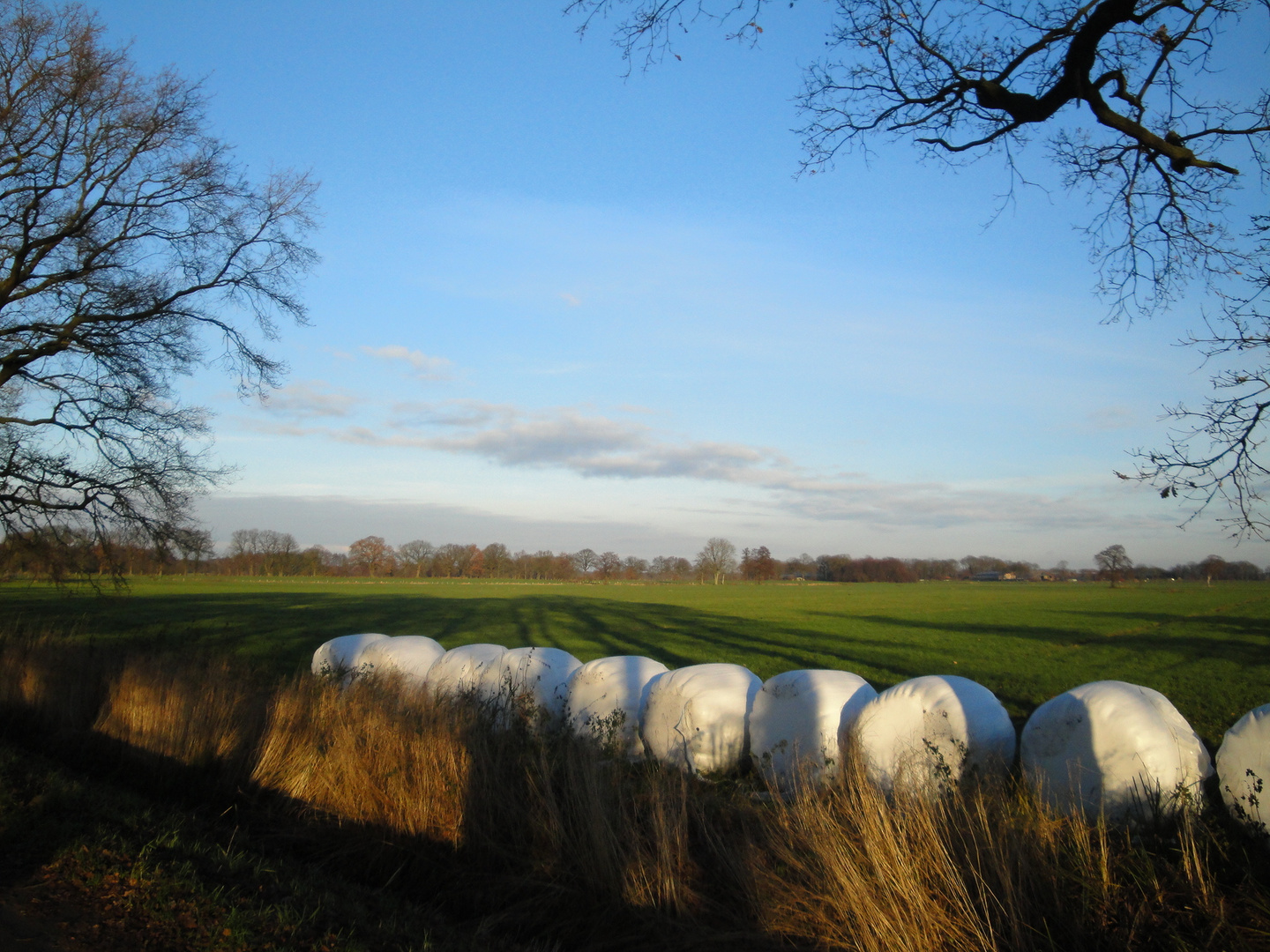 Winter - nach erfolgreicher Ernte