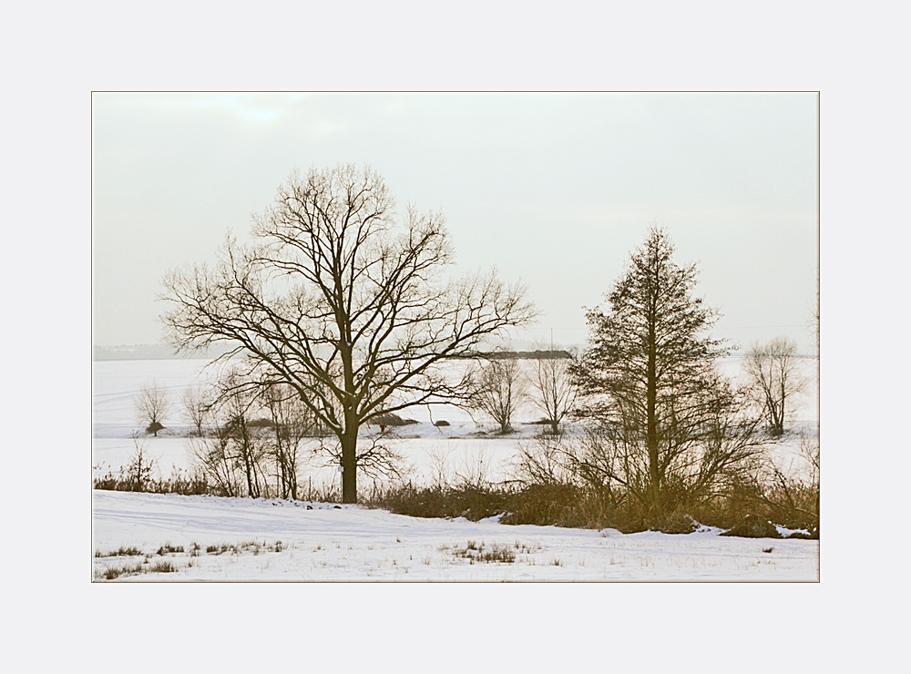 Winter-Nachmittagsstimmung 2