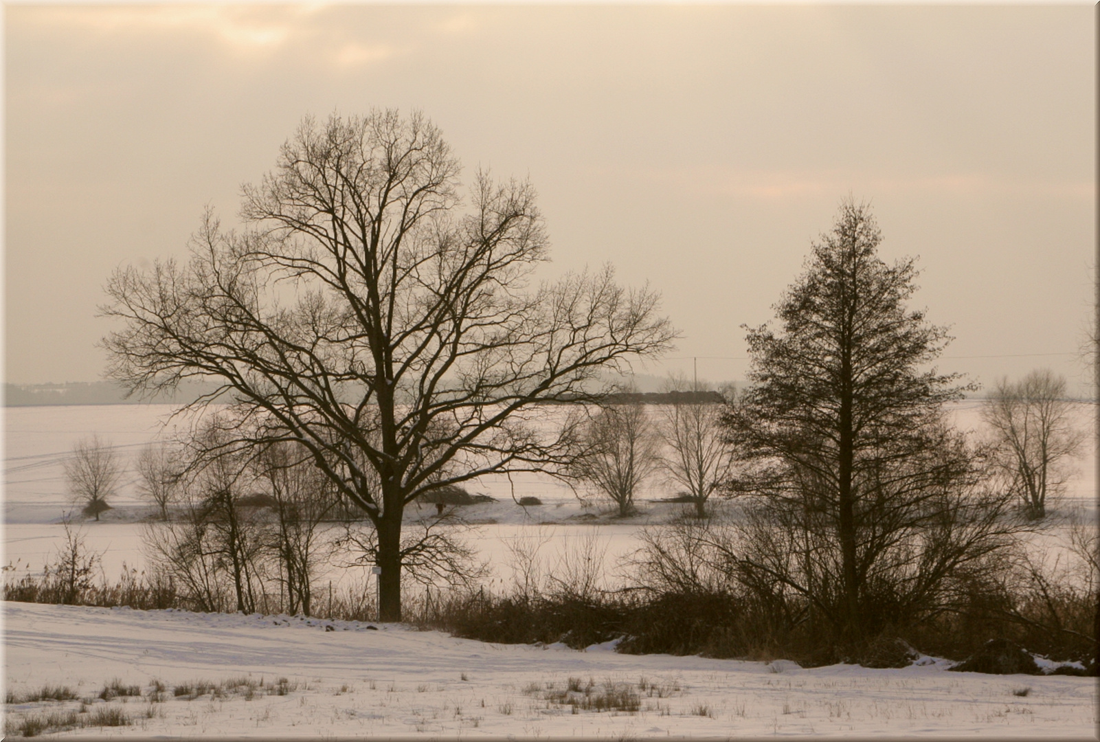 Winter-Nachmittagsstimmung