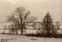 Winter-Nachmittagsstimmung