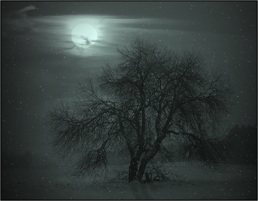 winter-nacht..