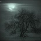 winter-nacht..