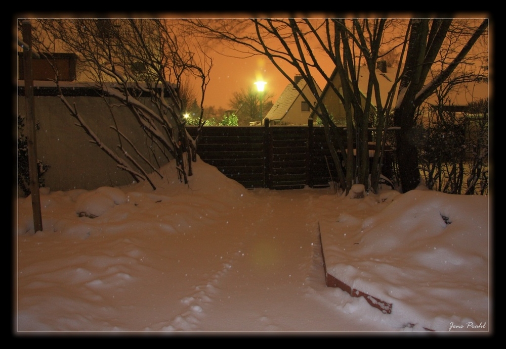 Winter - Nachts im Garten