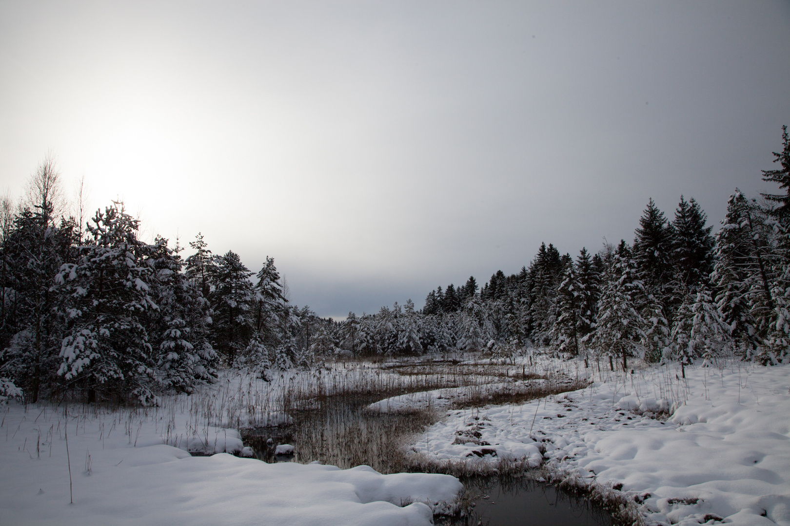 Winter, Nähe Kirchsee Bayern