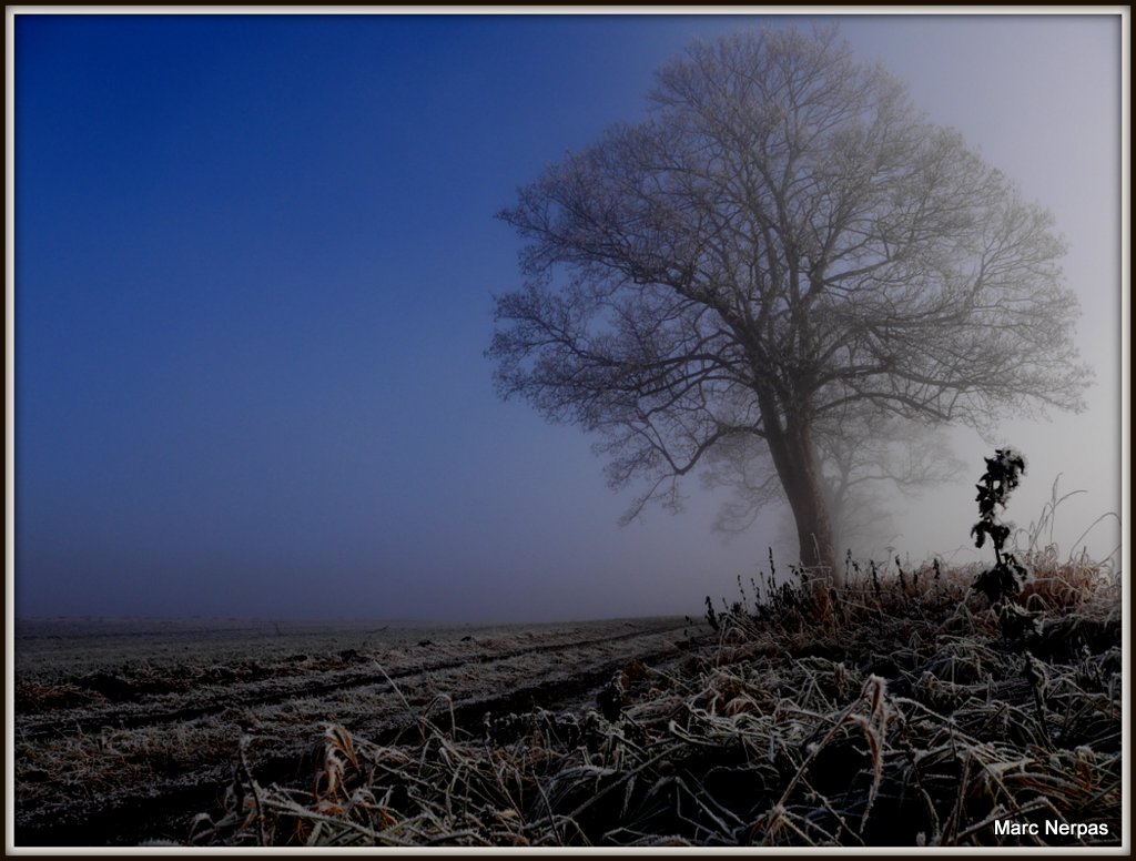 Winter-Nebel 2