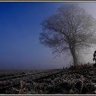 Winter-Nebel 2