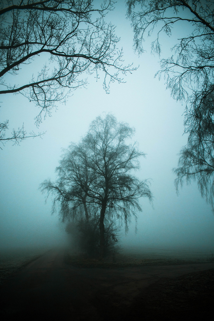Winter-Nebel