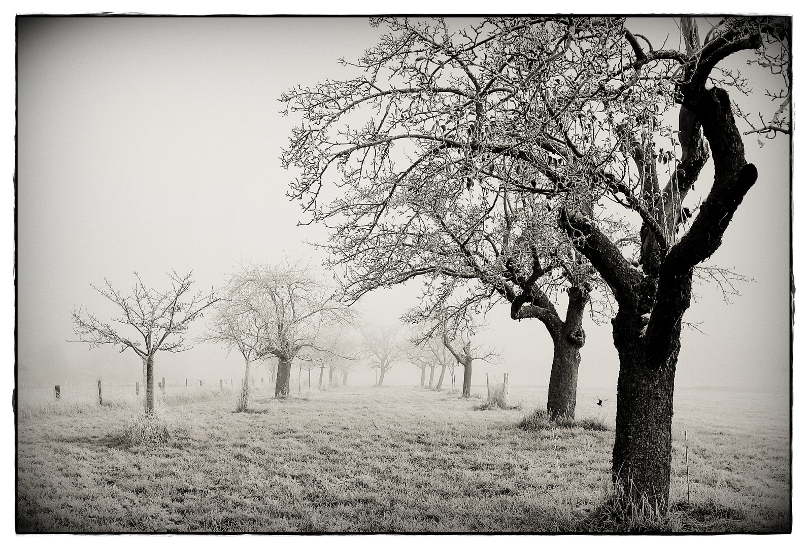 Winter & Nebel