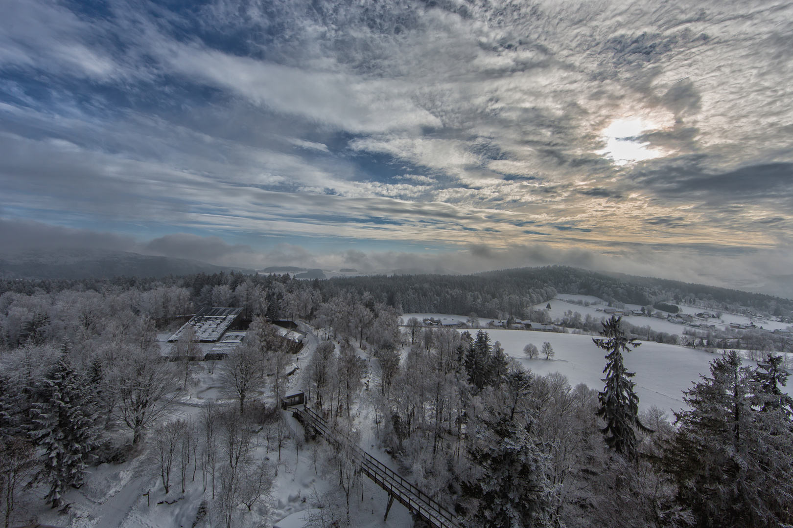 Winter-Nebel