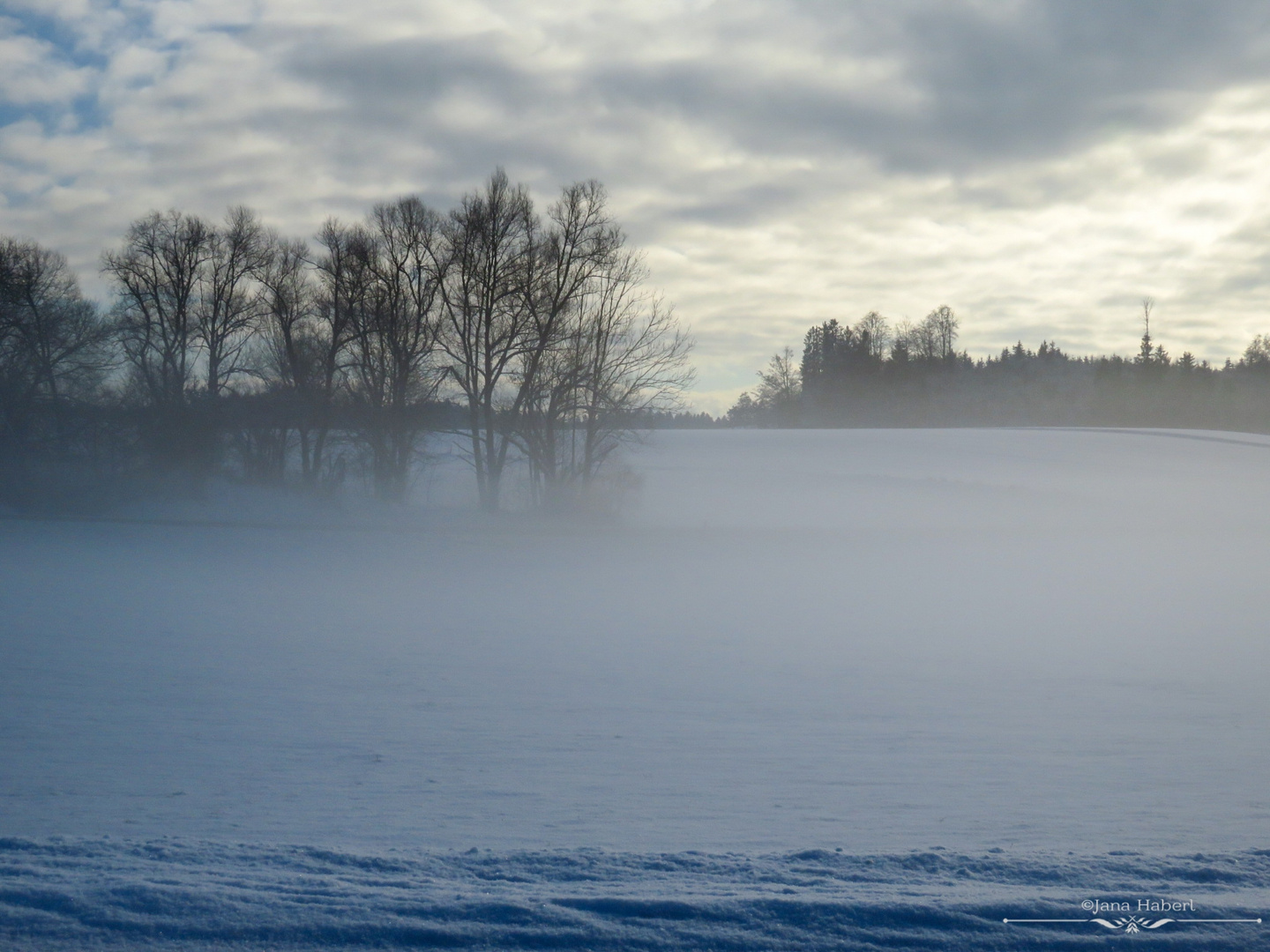 Winter Nebel 