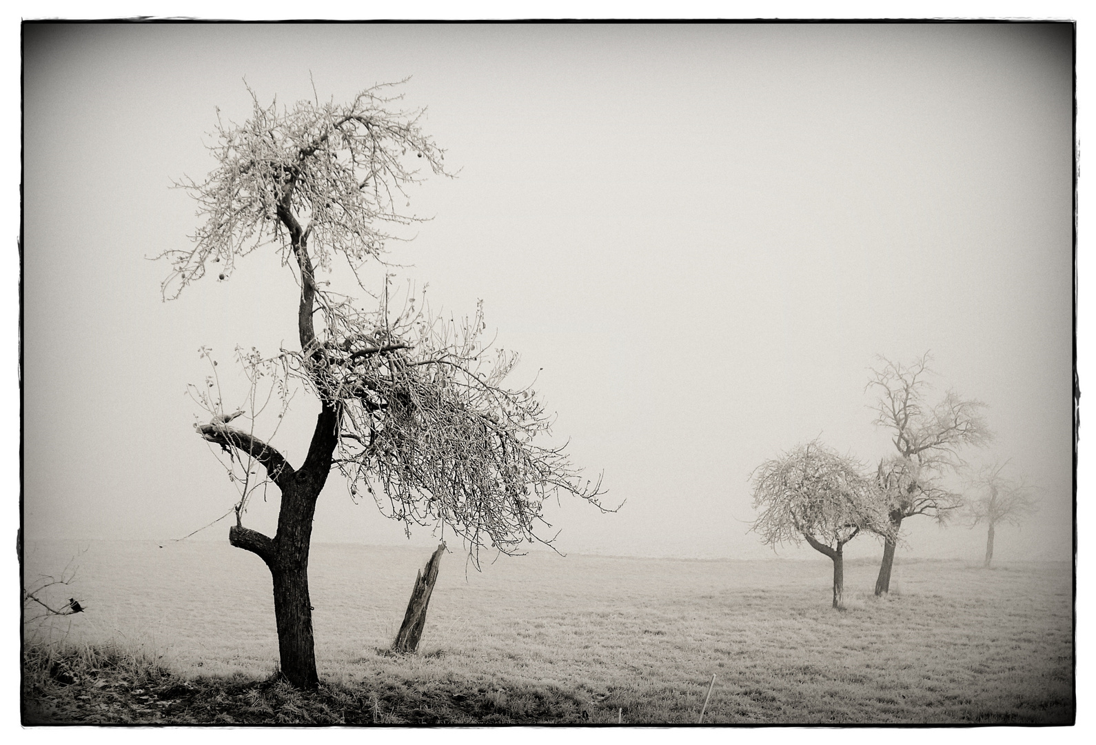 Winter & Nebel IV