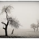 Winter & Nebel IV