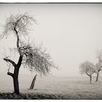 Winter & Nebel IV