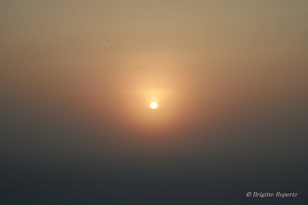 Winter-Nebel-Sonnenuntergang