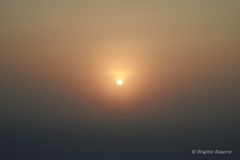 Winter-Nebel-Sonnenuntergang