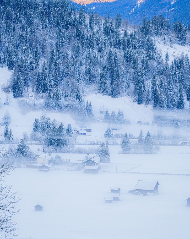 Winter Nebel Stimmung