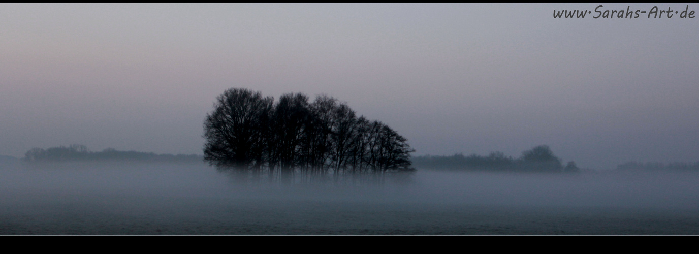 Winter-Nebelmorgen