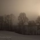 Winter - Nebelstimmung ... (1)