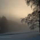 Winter - Nebelstimmung ... (2)