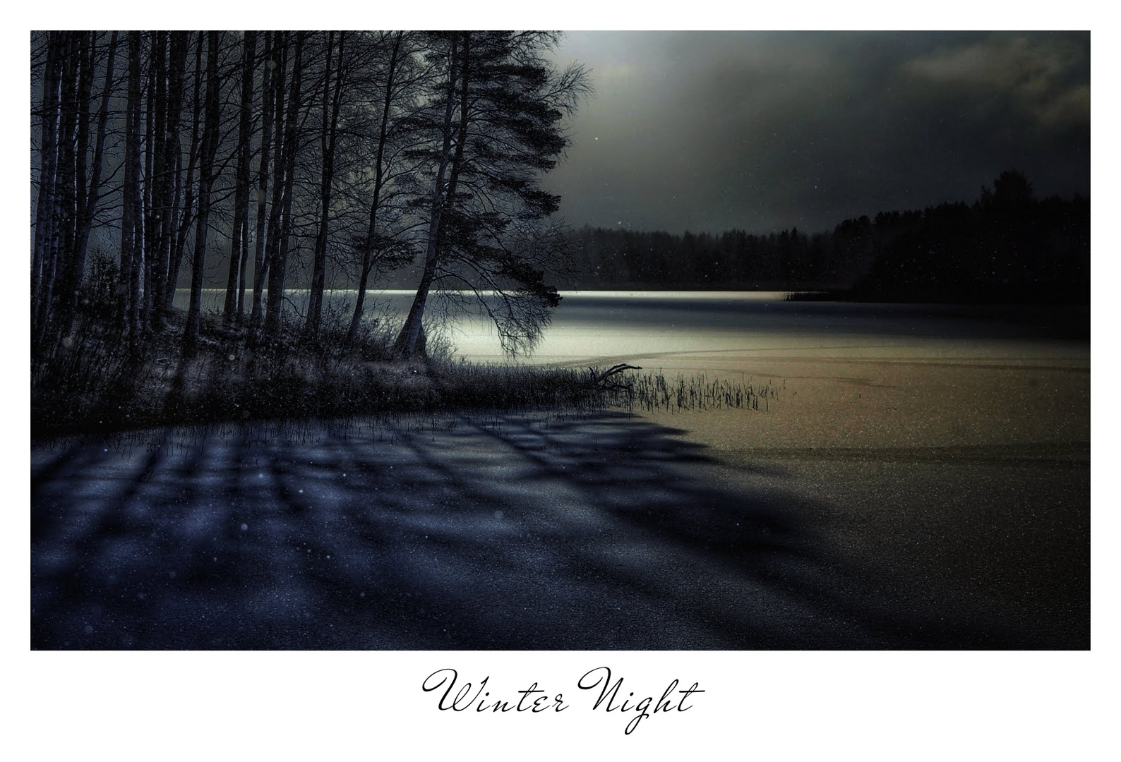 Winter Night 