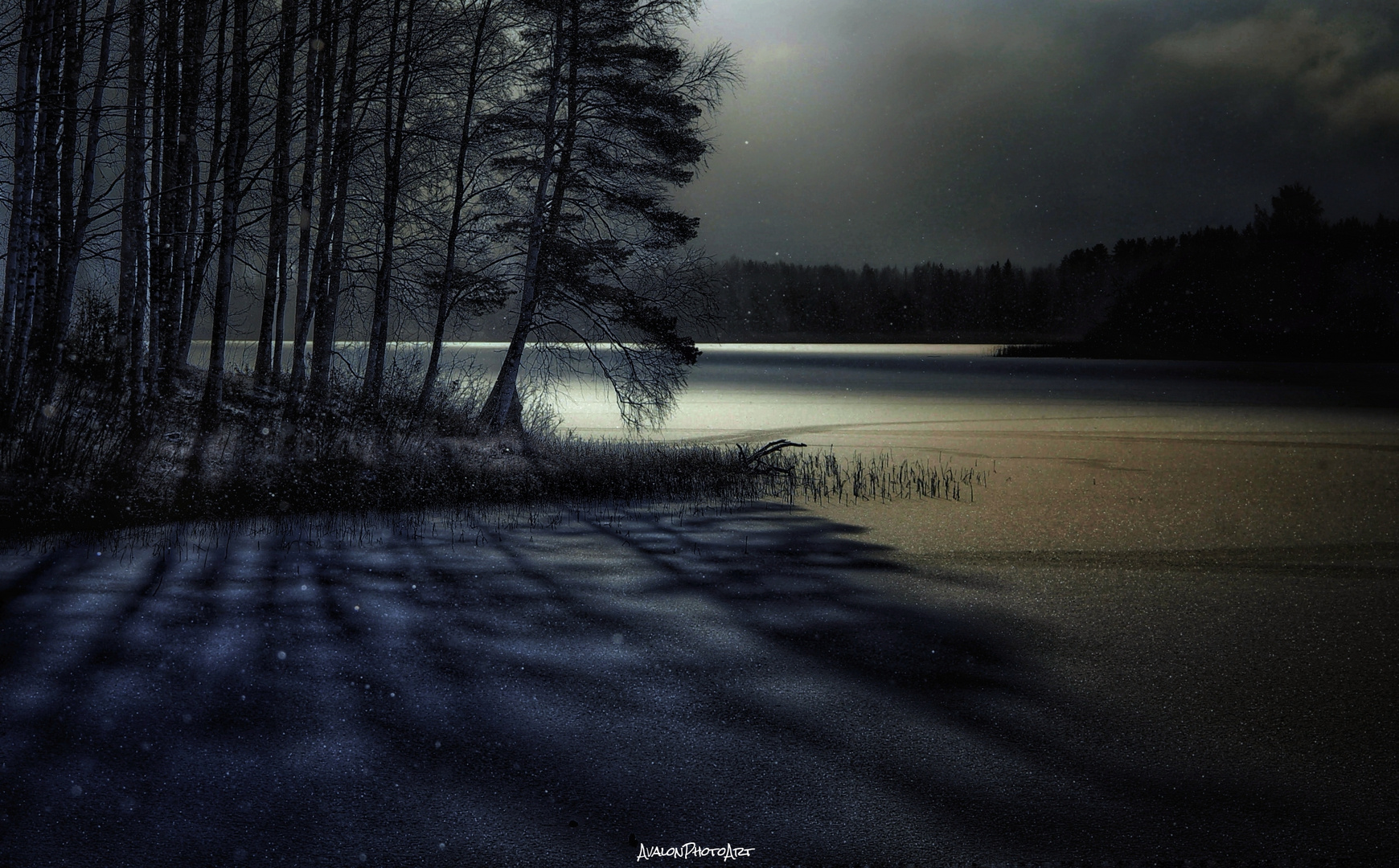 Winter Night photo & image | landscape, nature at night, nature ...