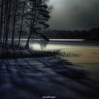 Winter Night 
