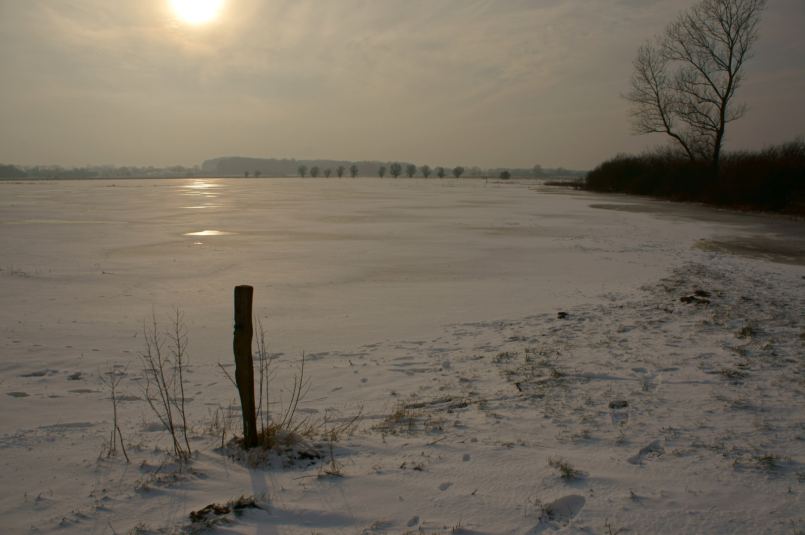 Winter - nun doch